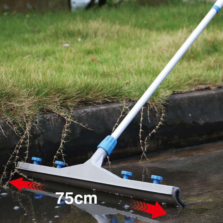 1622187308298073.jpg 5.jpg